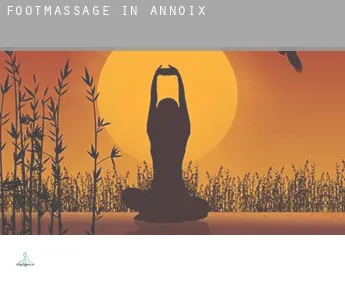 Foot massage in  Annoix